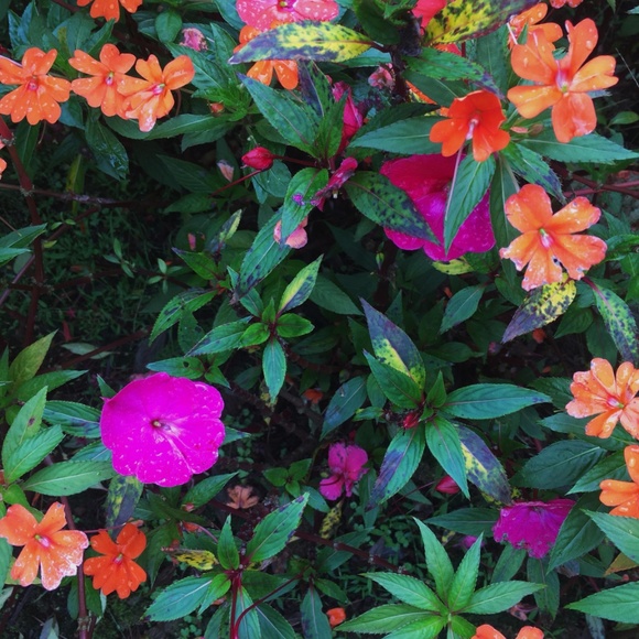 Meet your Posher, Abi - Picture 2 of 2